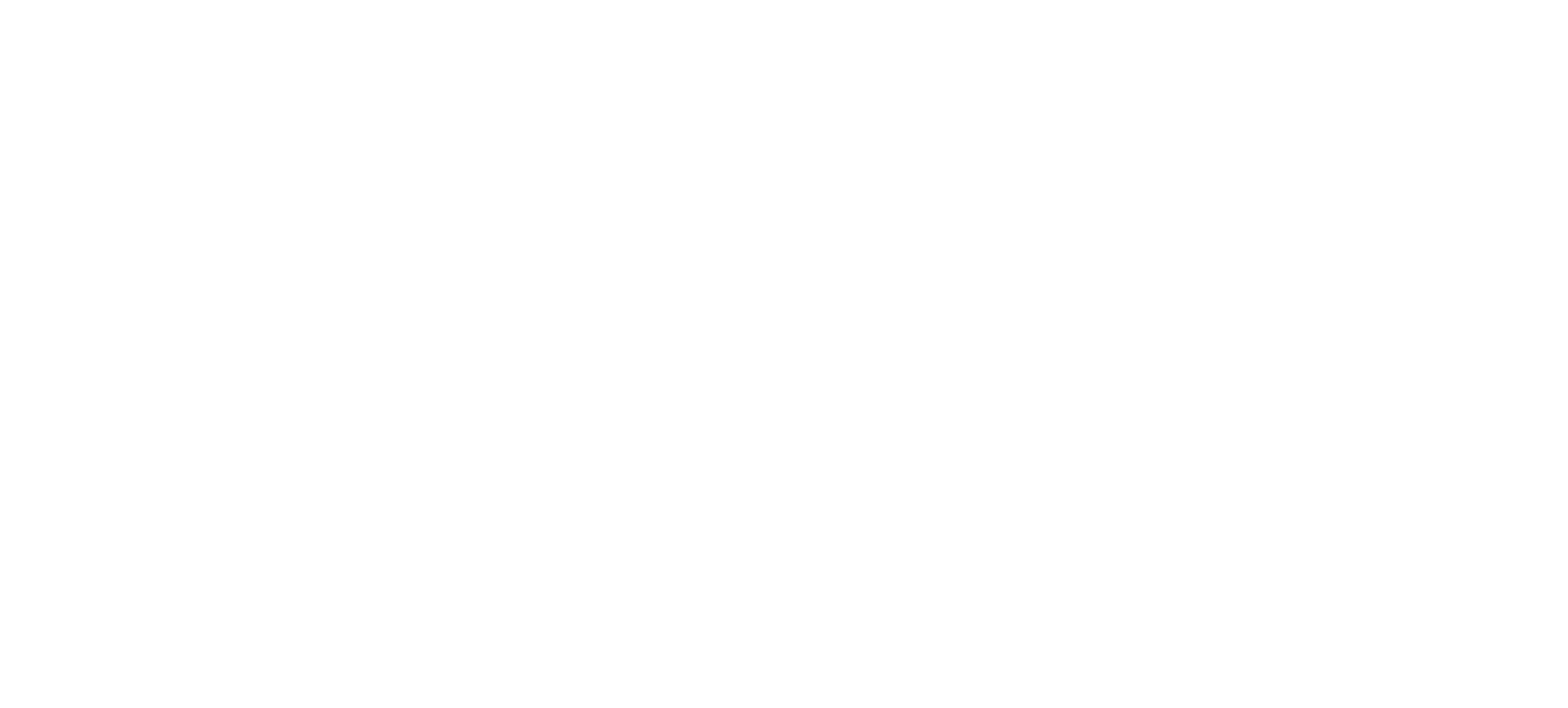 Artis : Wedding planner provence